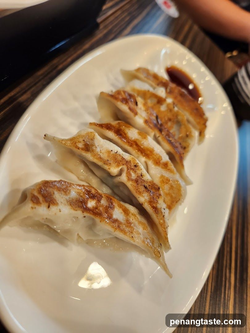 Gyoza on Plate