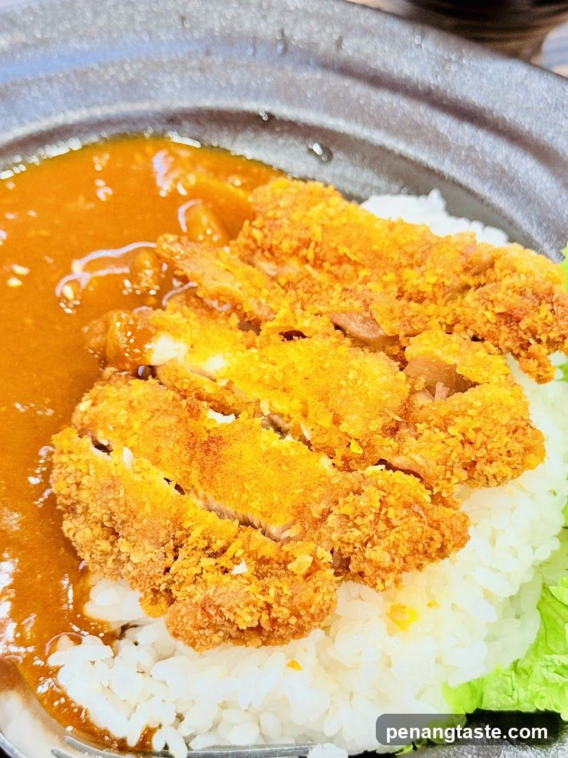 Crispy Pork Cutlet with Curry Sauce over Rice