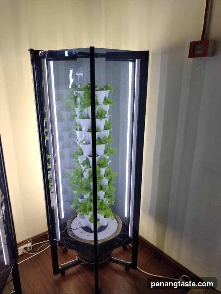 Vertical hydroponic garden display