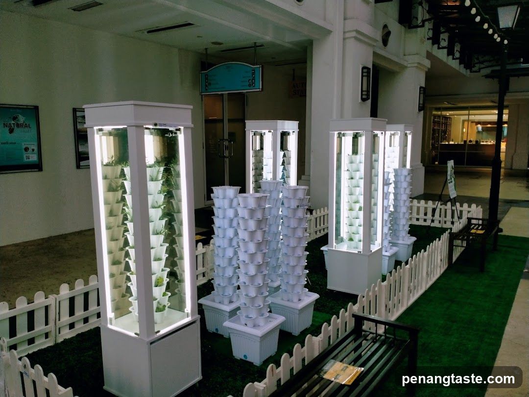Indoor hydroponic display exhibit
