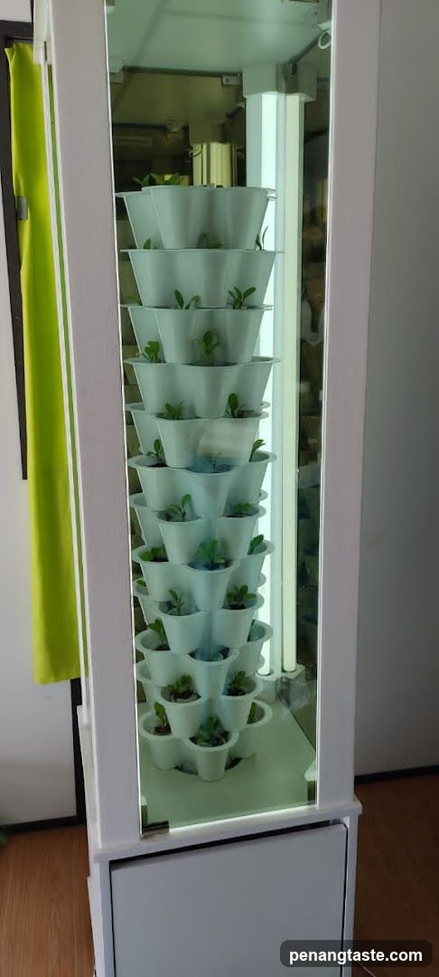 Vertical Hydroponic Plant Tower