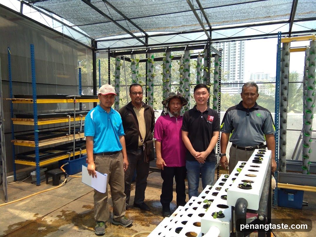 Group in hydroponic greenhouse