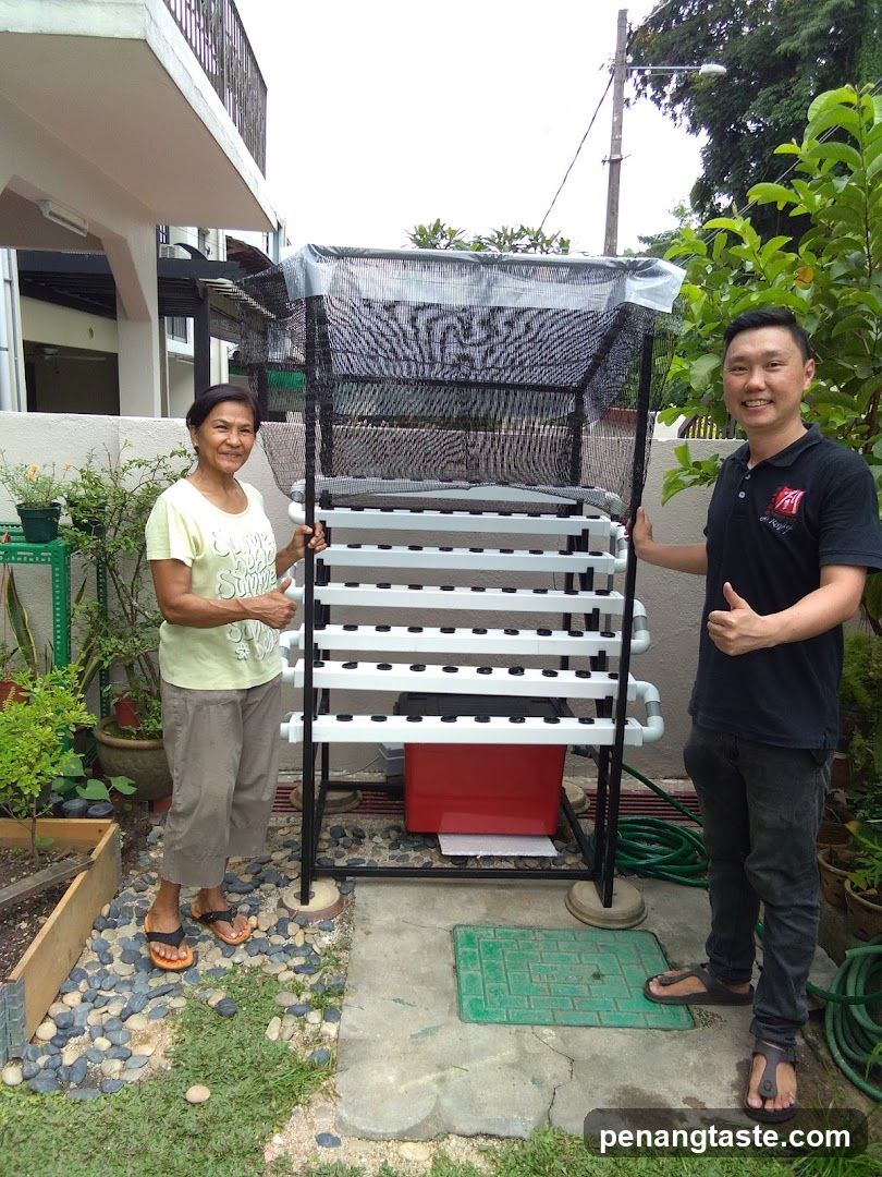Two people with hydroponic garden setup