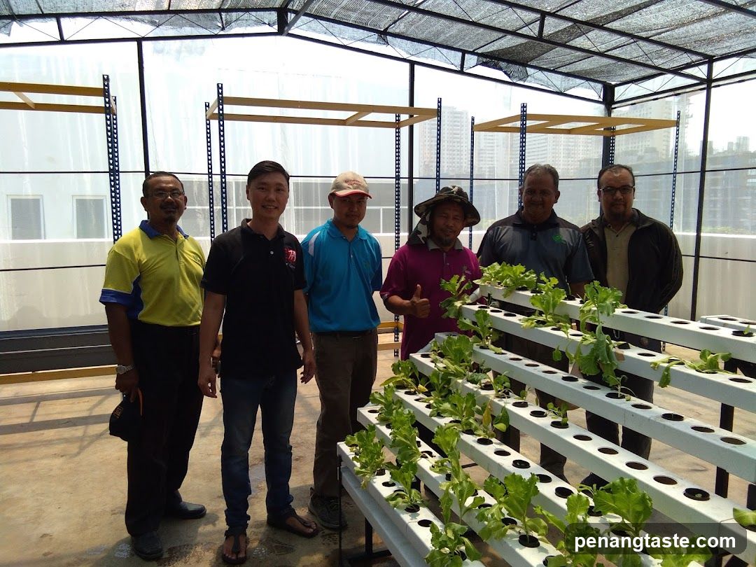 Group photo in hydroponic greenhouse