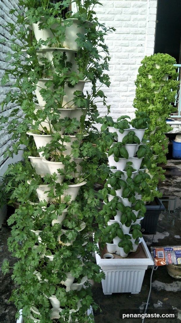 Vertical hydroponic garden setup