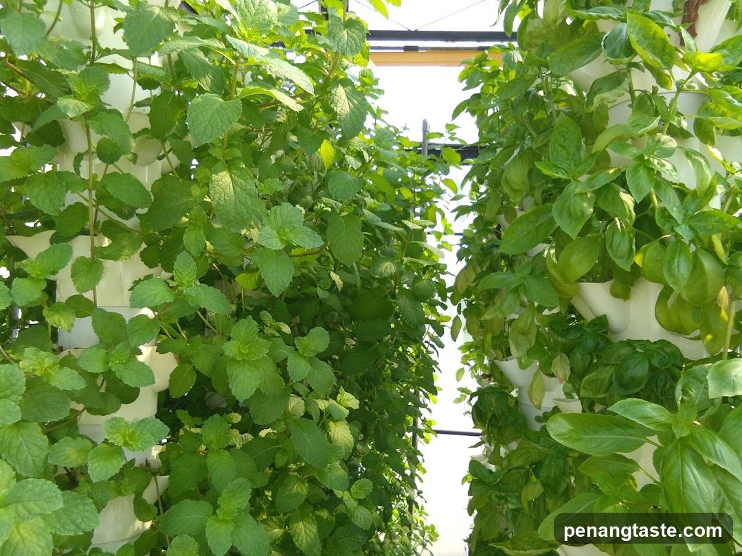 Vertical Herb Garden
