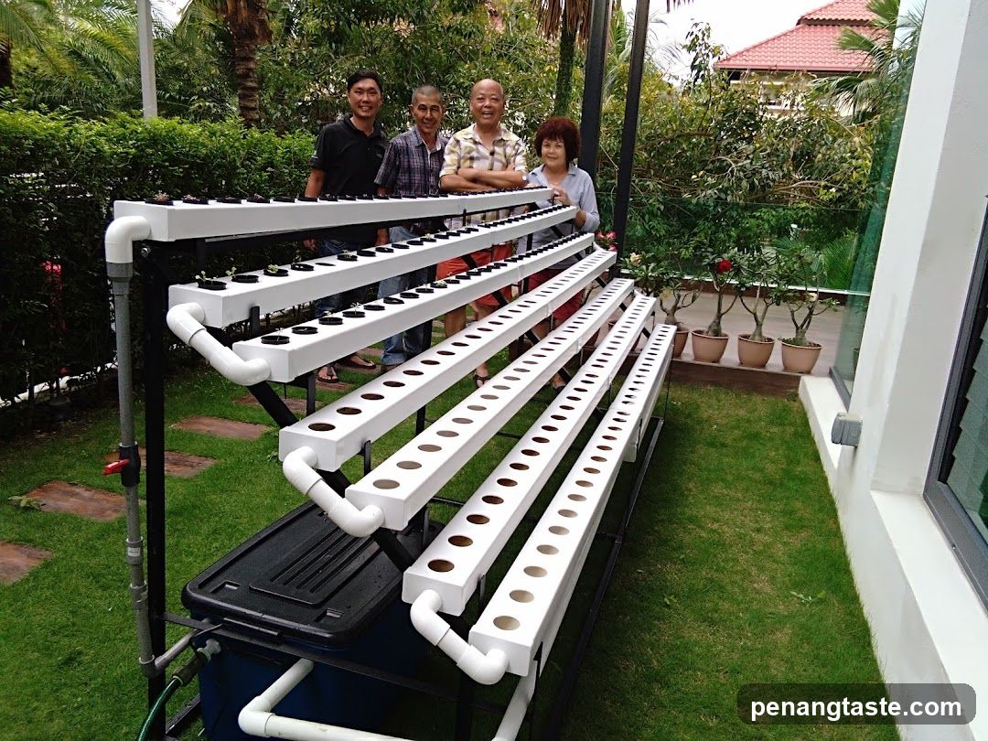 Family with Hydroponic Setup