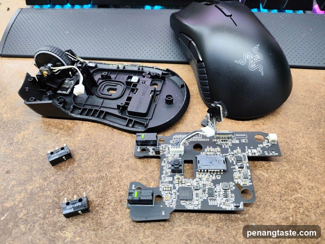 Disassembled Gaming Mouse Components