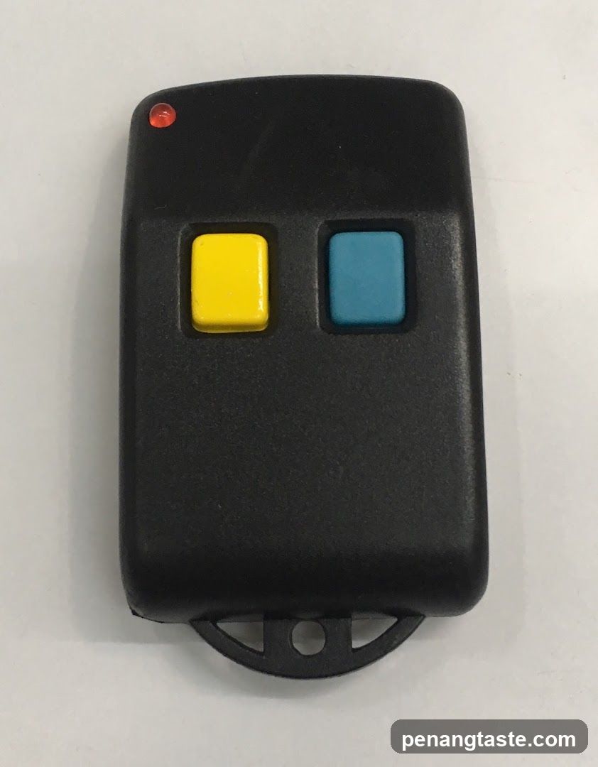 Garage Door Remote Control