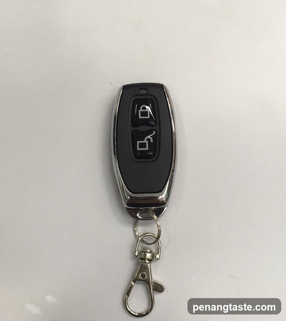 Car Key Fob