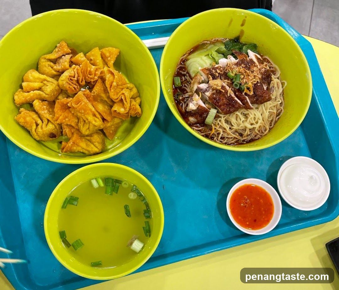 Food Tray with Noodles and Dumplings