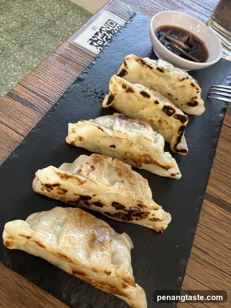 Gyoza Dumplings on Slate Plate
