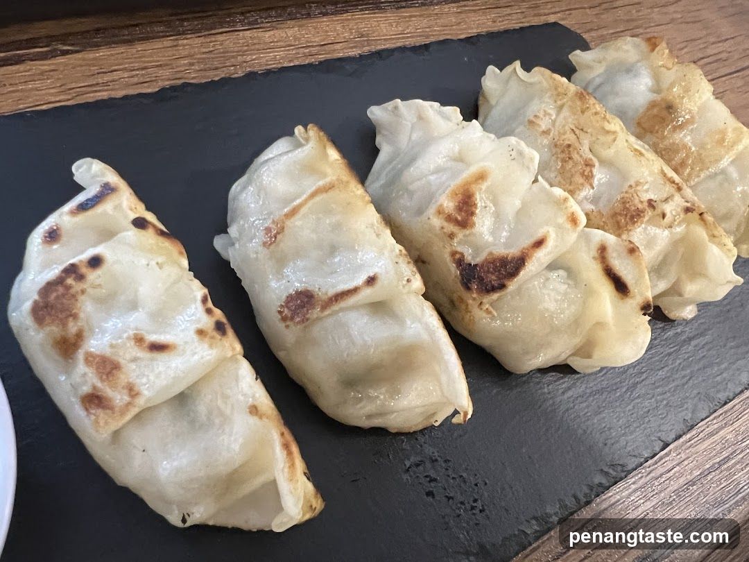 Gyoza Dumplings