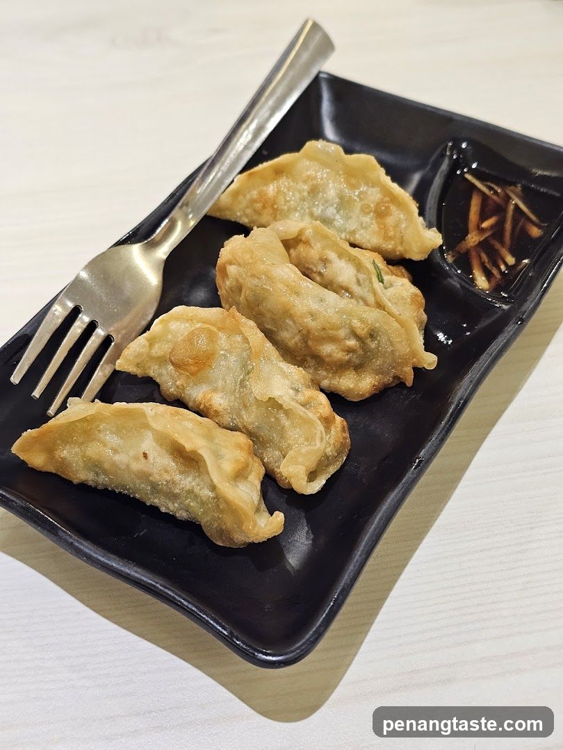 Gyoza Dumplings on Plate