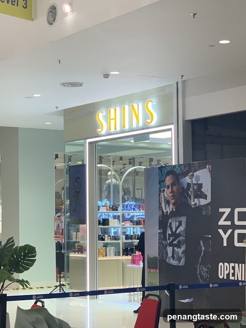 SHINS
