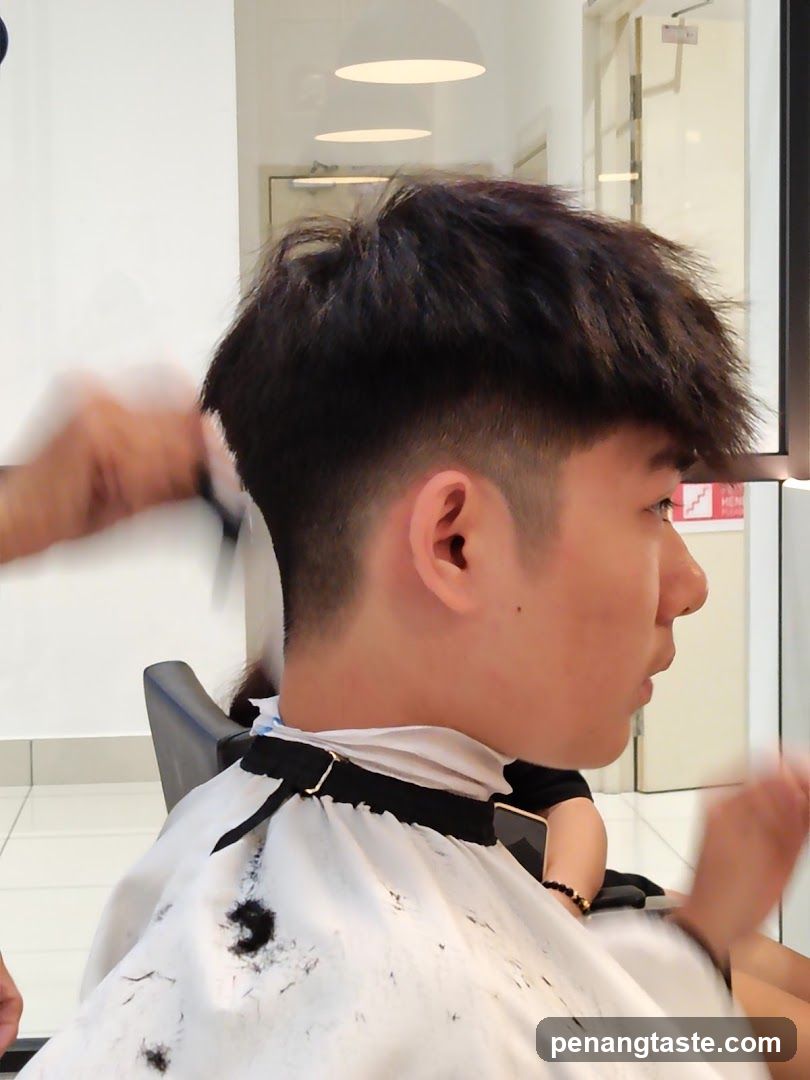 Only Cut