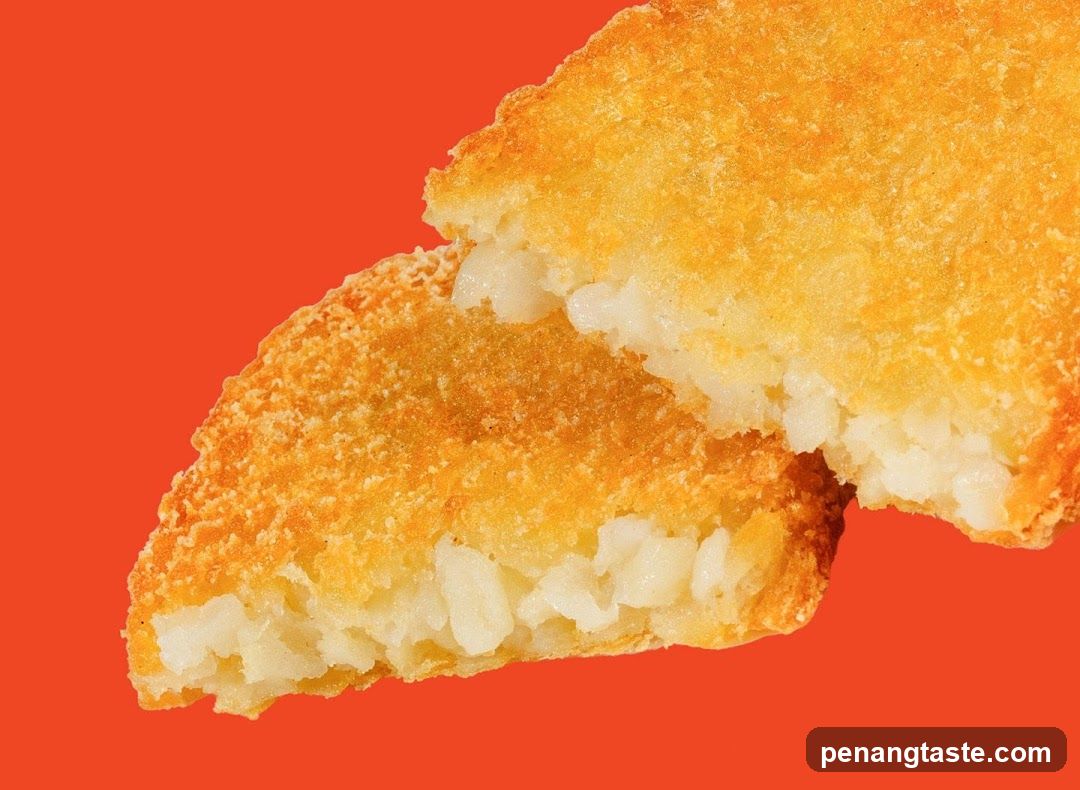 Crispy Fried Rice Puff