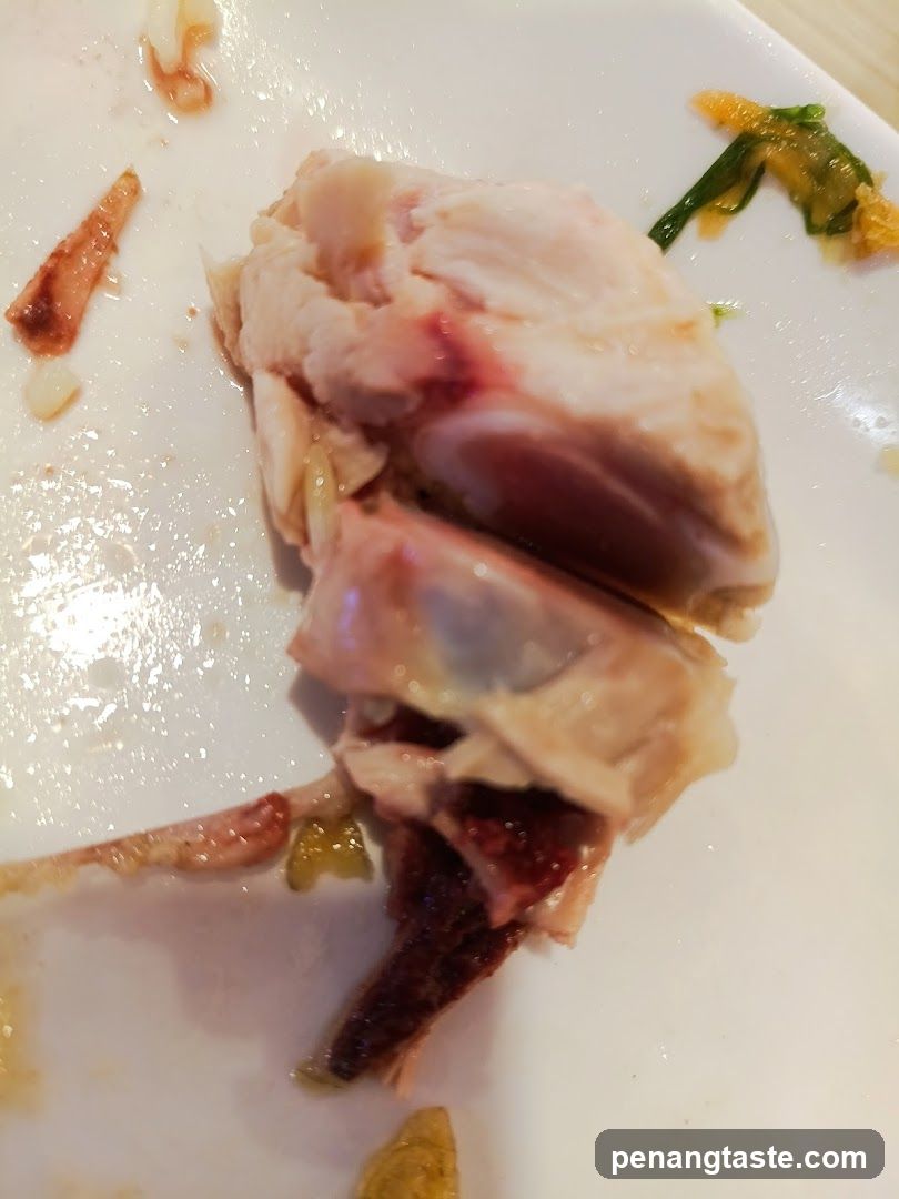 Food Remnant on Plate