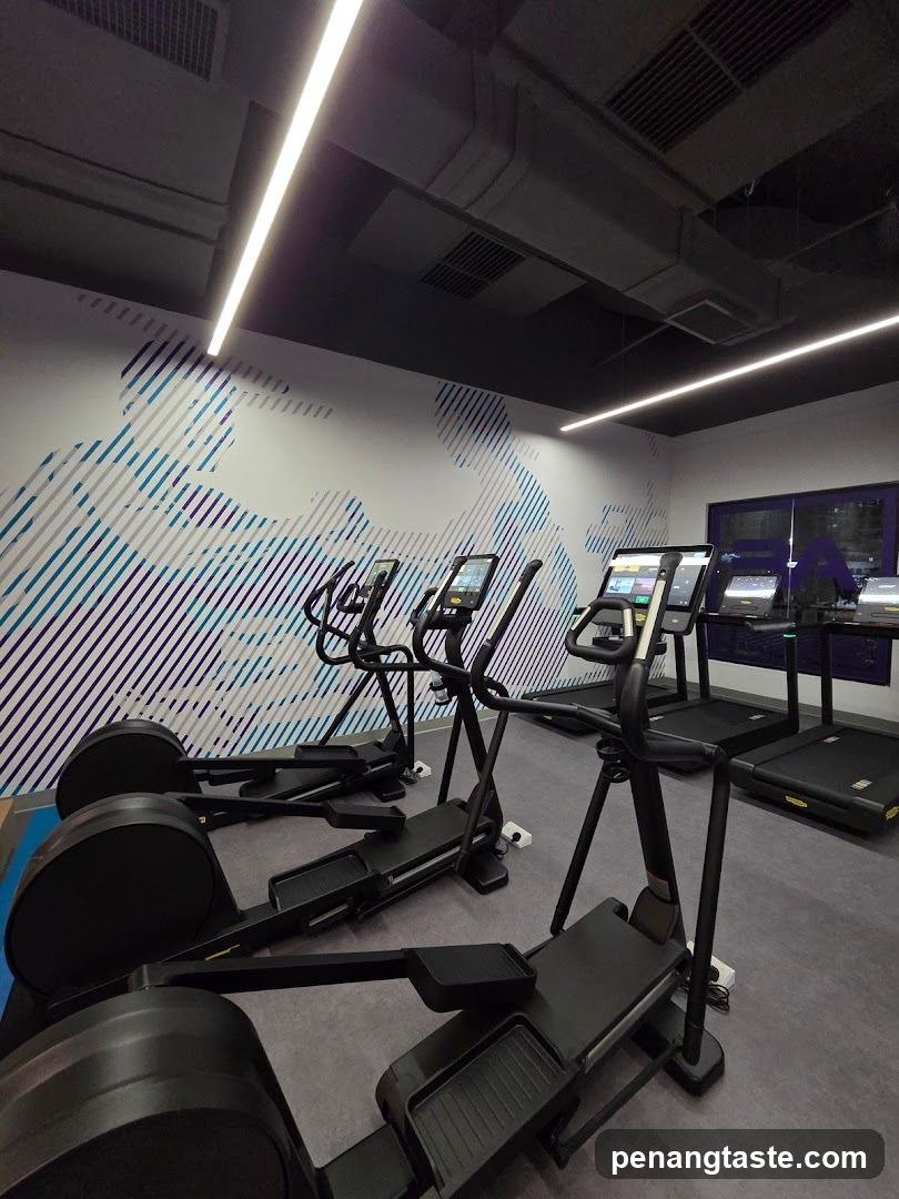 Gym Interior