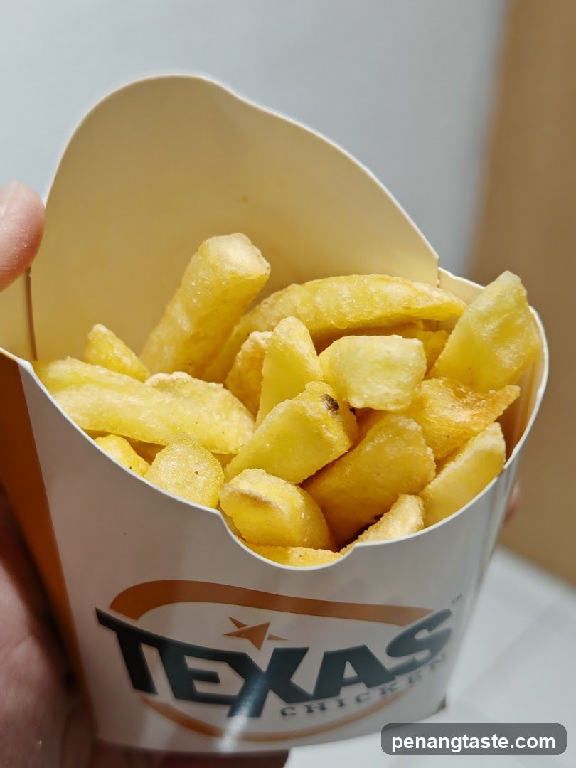 Texas Chicken Fries
