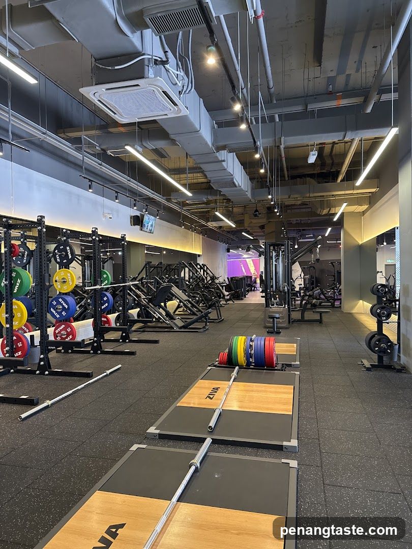 Gym Interior