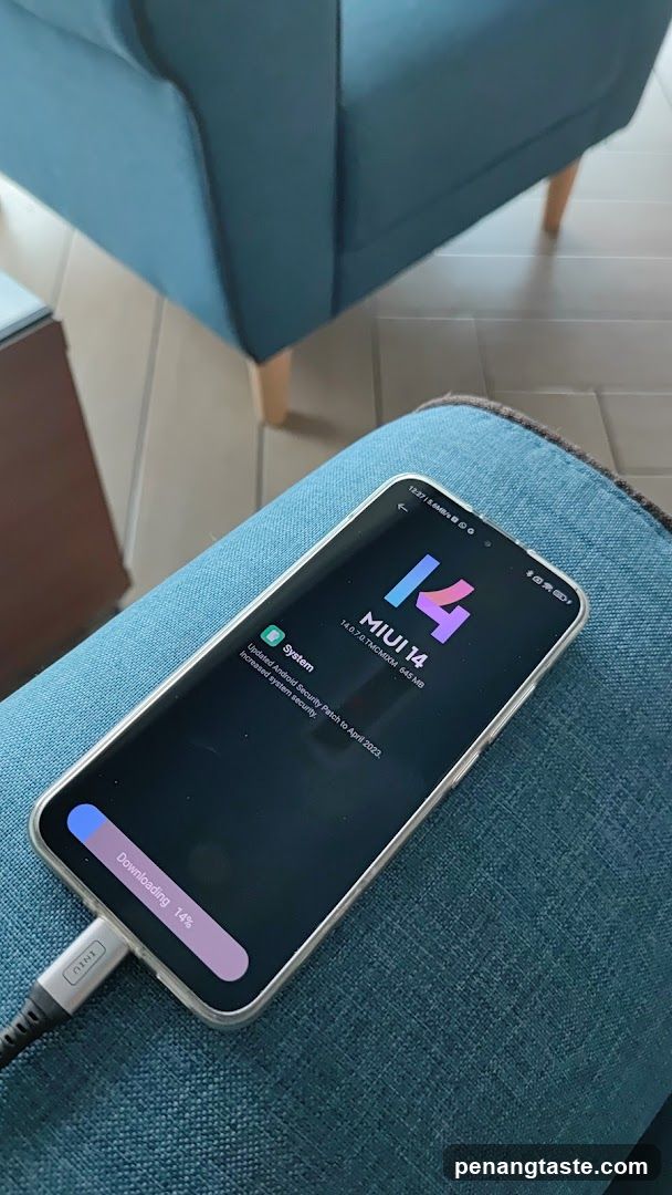 Phone on couch