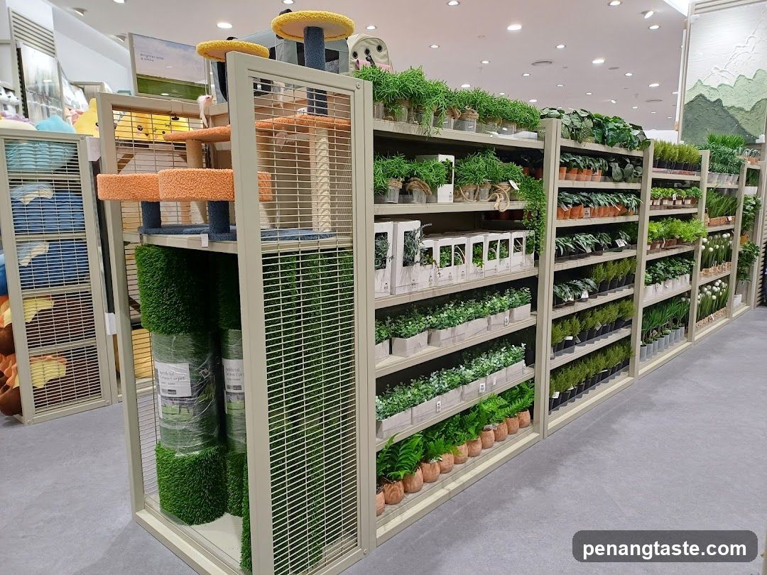 Store Interior Display