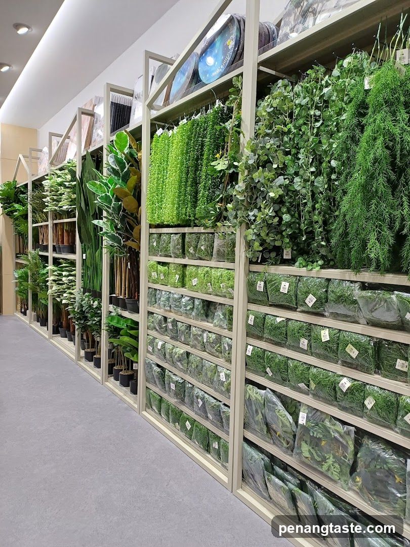 Interior Plant Store Display
