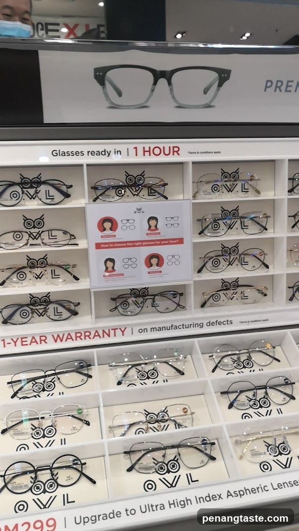 Owl Glasses Display