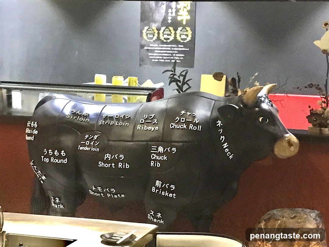 Beef Cut Model