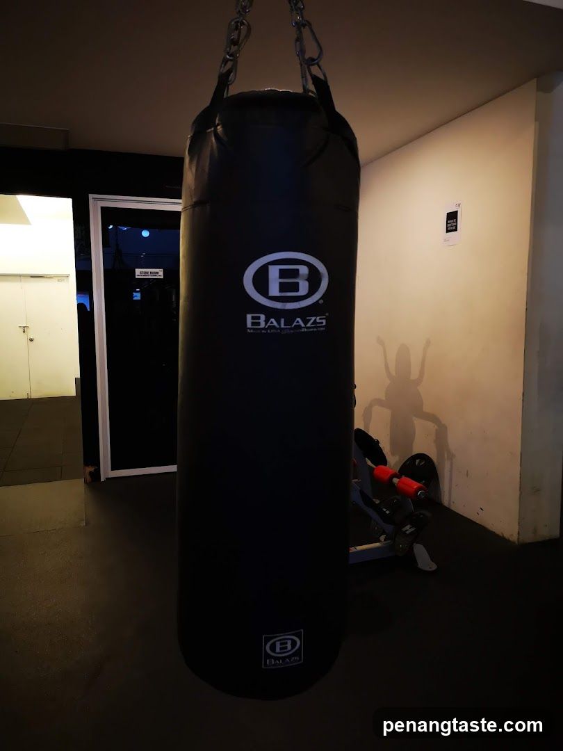 Gym Interior with Punching Bag