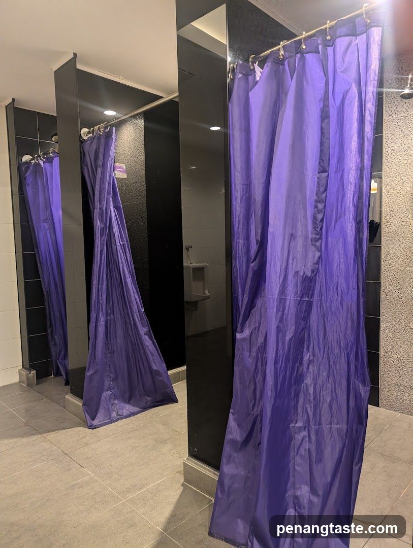 Restroom with Purple Curtains