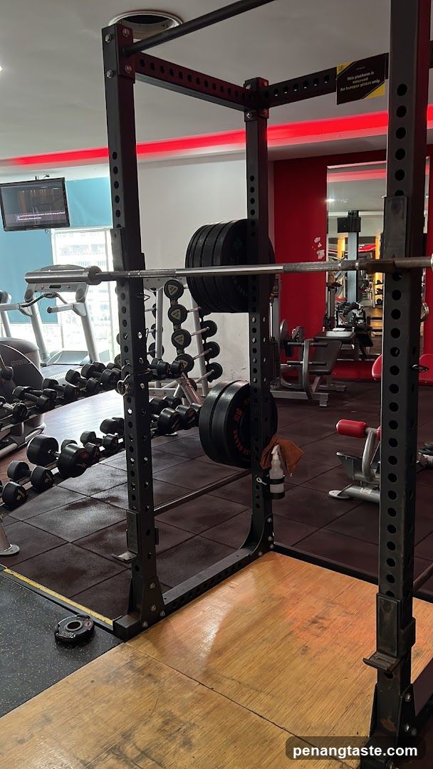 Gym Interior with Squat Rack and Weights