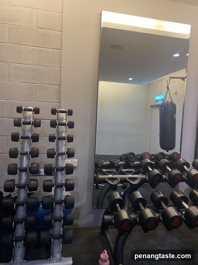 Gym Interior with Dumbbells and Punching Bag