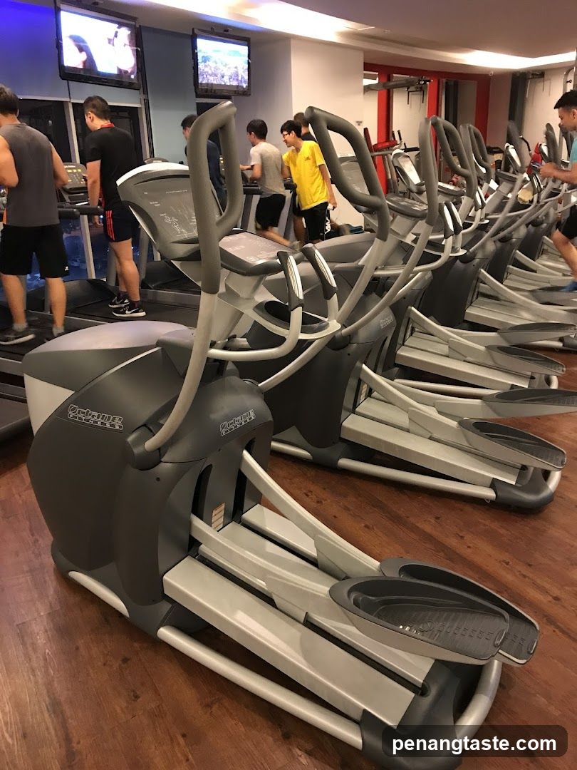 Gym Interior with Elliptical Machines