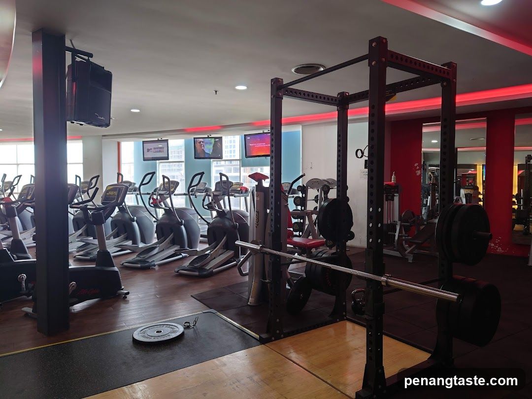 Gym Interior with Cardio and Weight Equipment