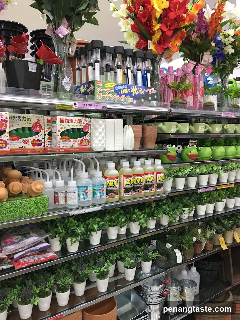 Store Shelves with Plants and Gardening Supplies
