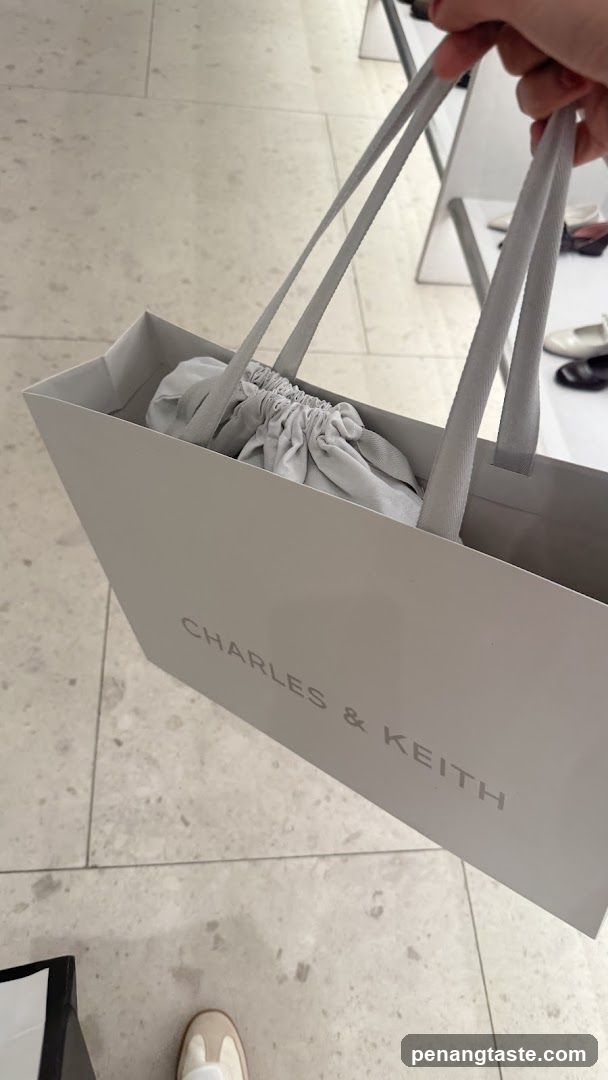 Charles & Keith shopping bag