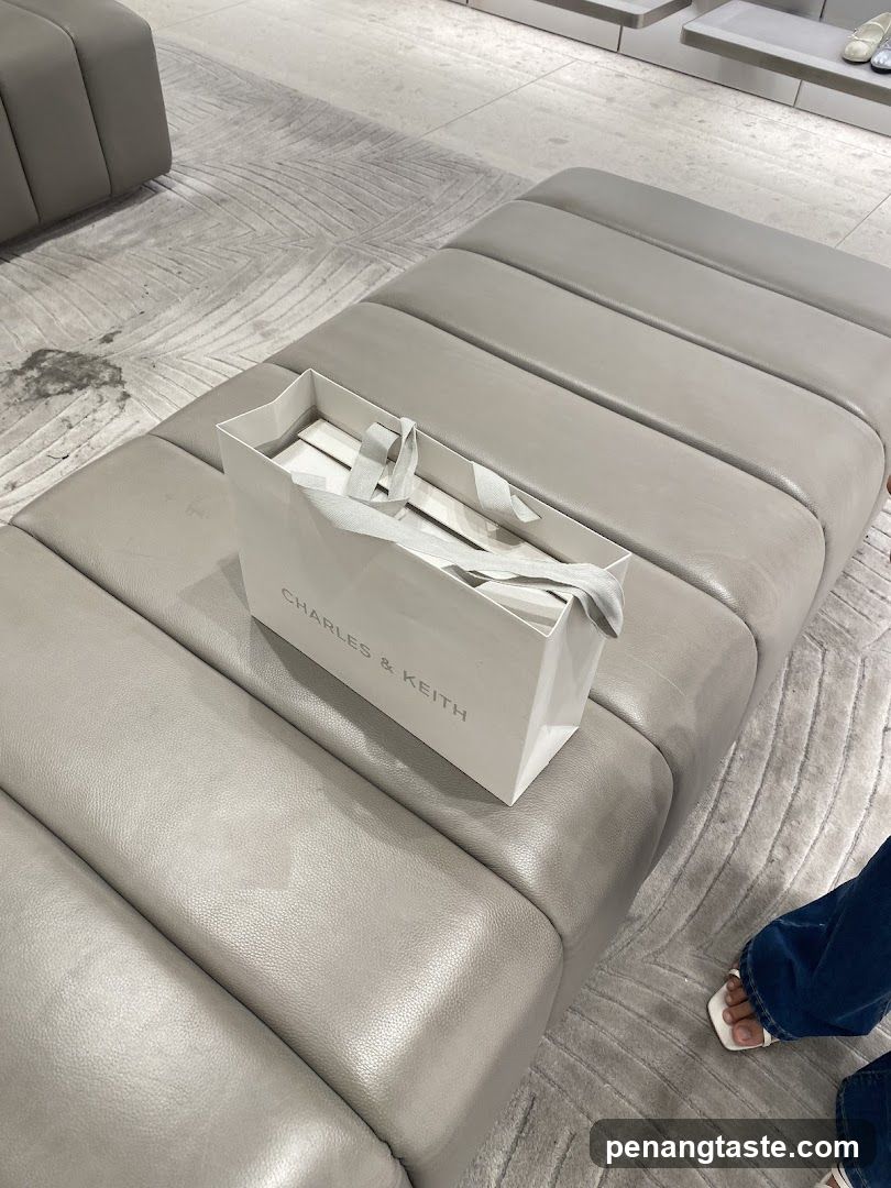 Charles & Keith Store Interior