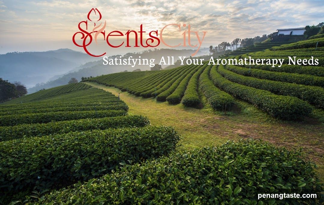 ScentsCity Aromatherapy