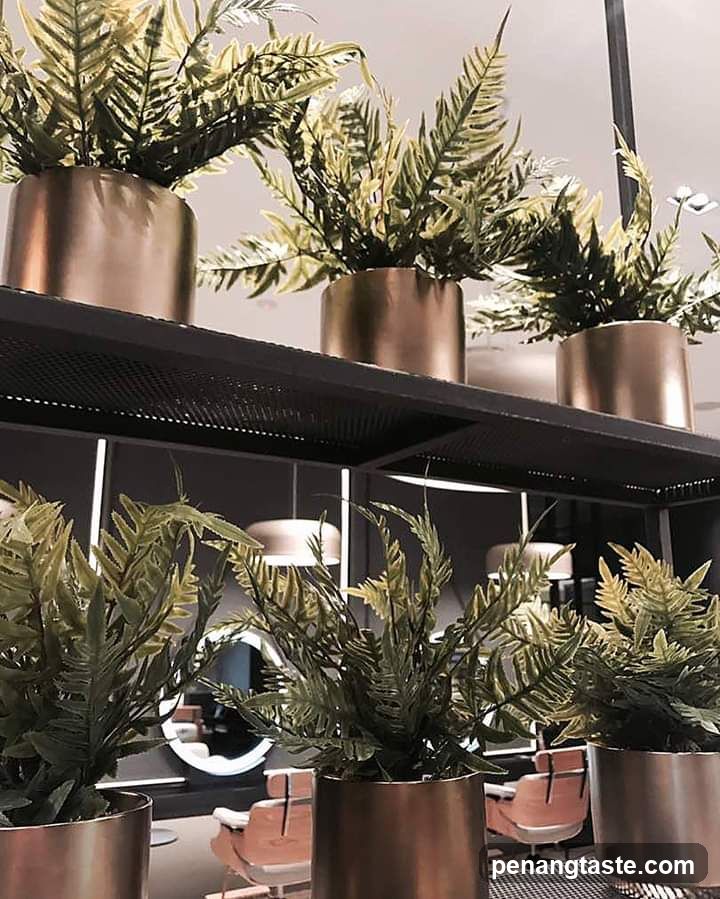 Indoor Plants in Metallic Pots
