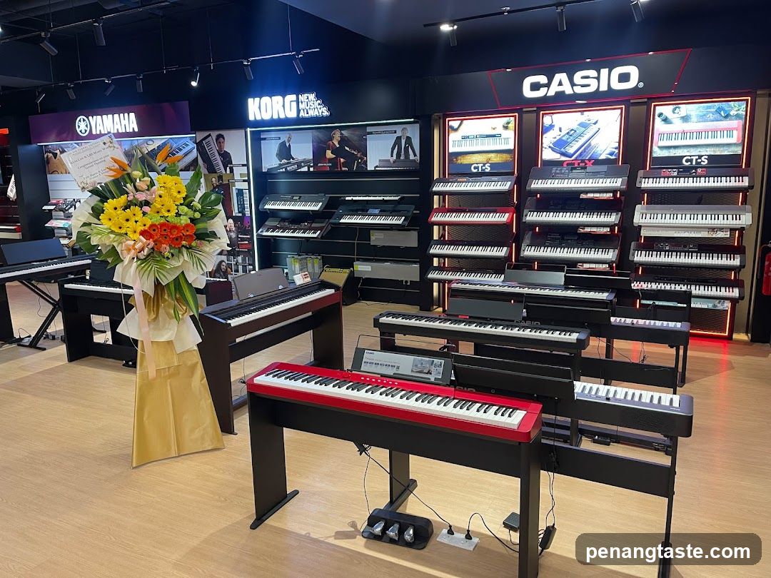 Musical Instrument Store