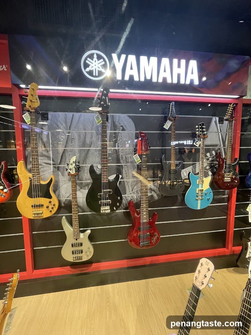 Guitars on Display
