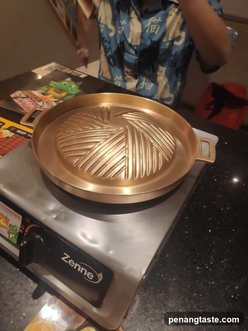 Grill Pan and Stove