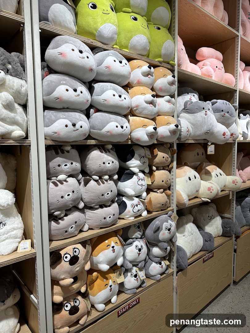 Plush Toys on Shelves