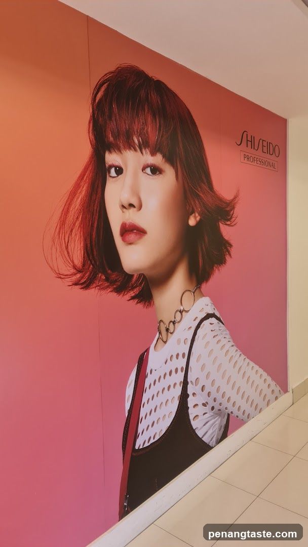 Shiseido Professional Advertisement