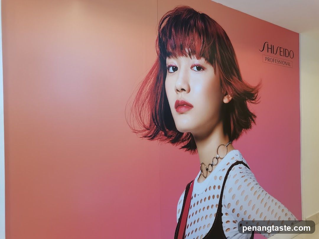 Shiseido Professional Advertisement