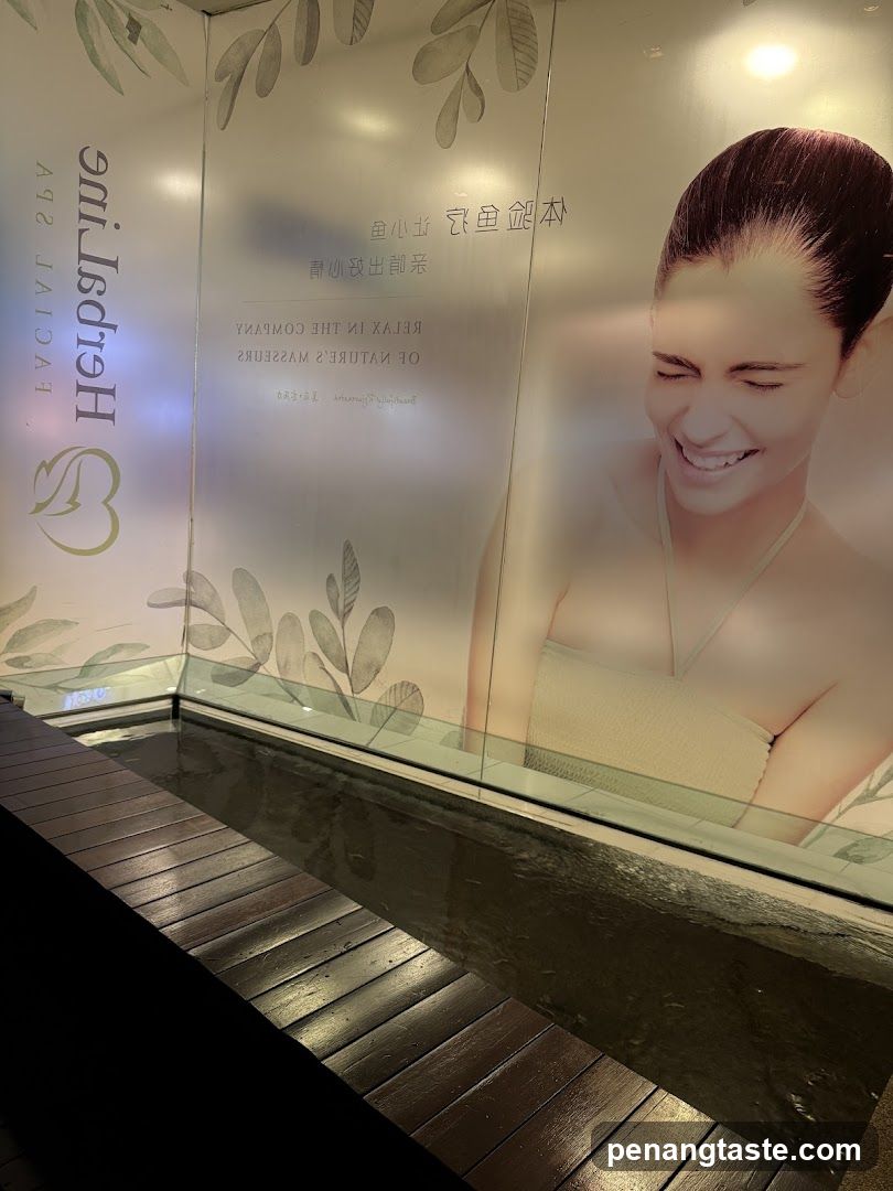 Spa Interior with Water Feature