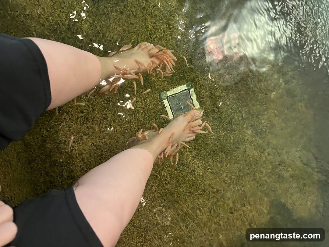 Fish Pedicure