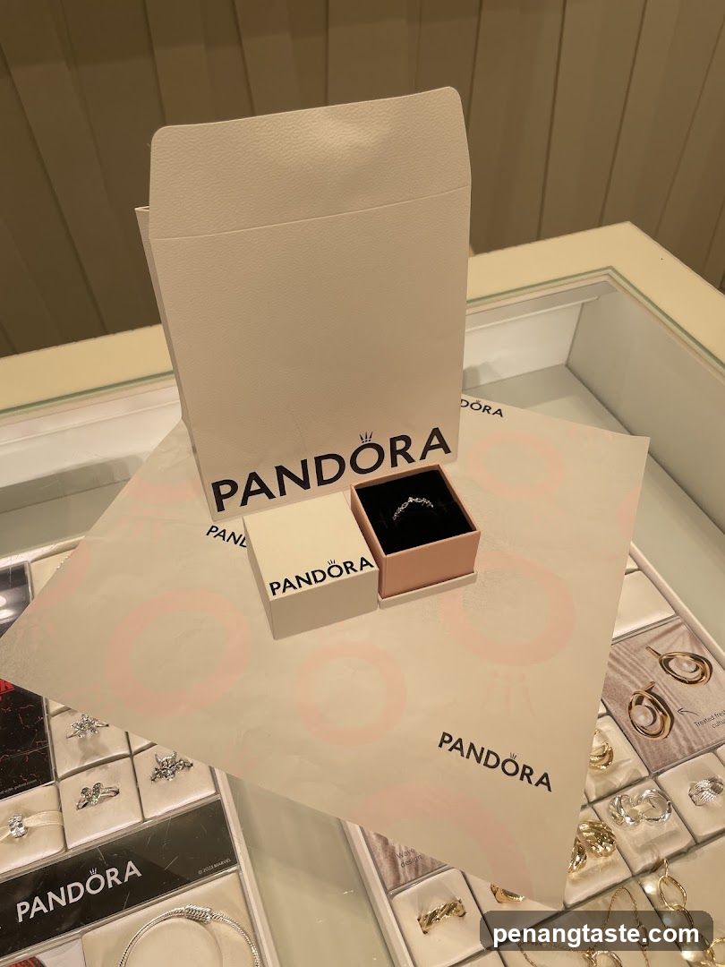 Pandora Store Interior Display